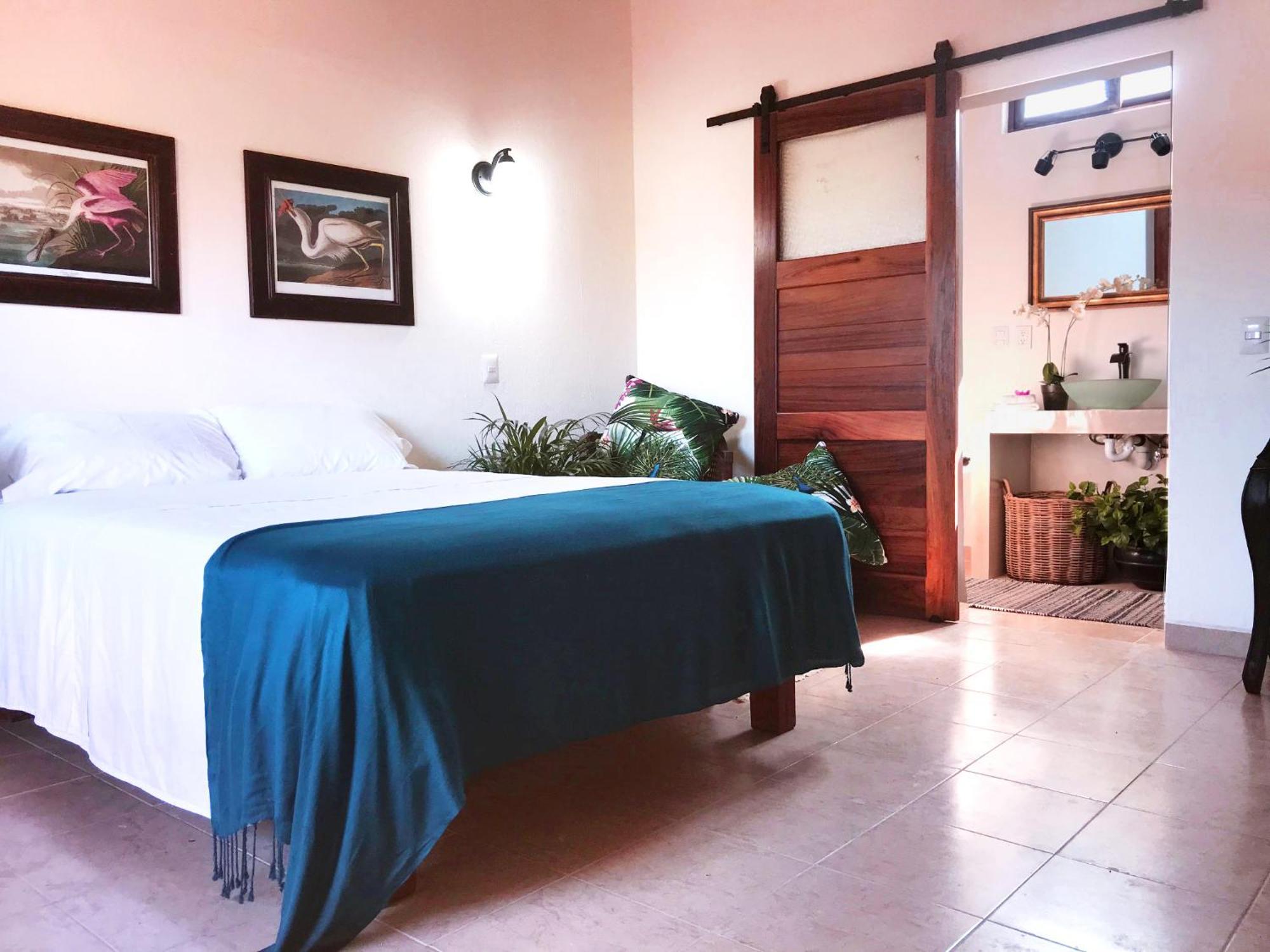 Casa Botanica 호텔 로 데 마르코스 외부 사진