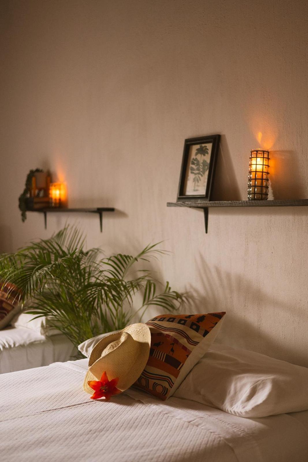 Casa Botanica 호텔 로 데 마르코스 외부 사진