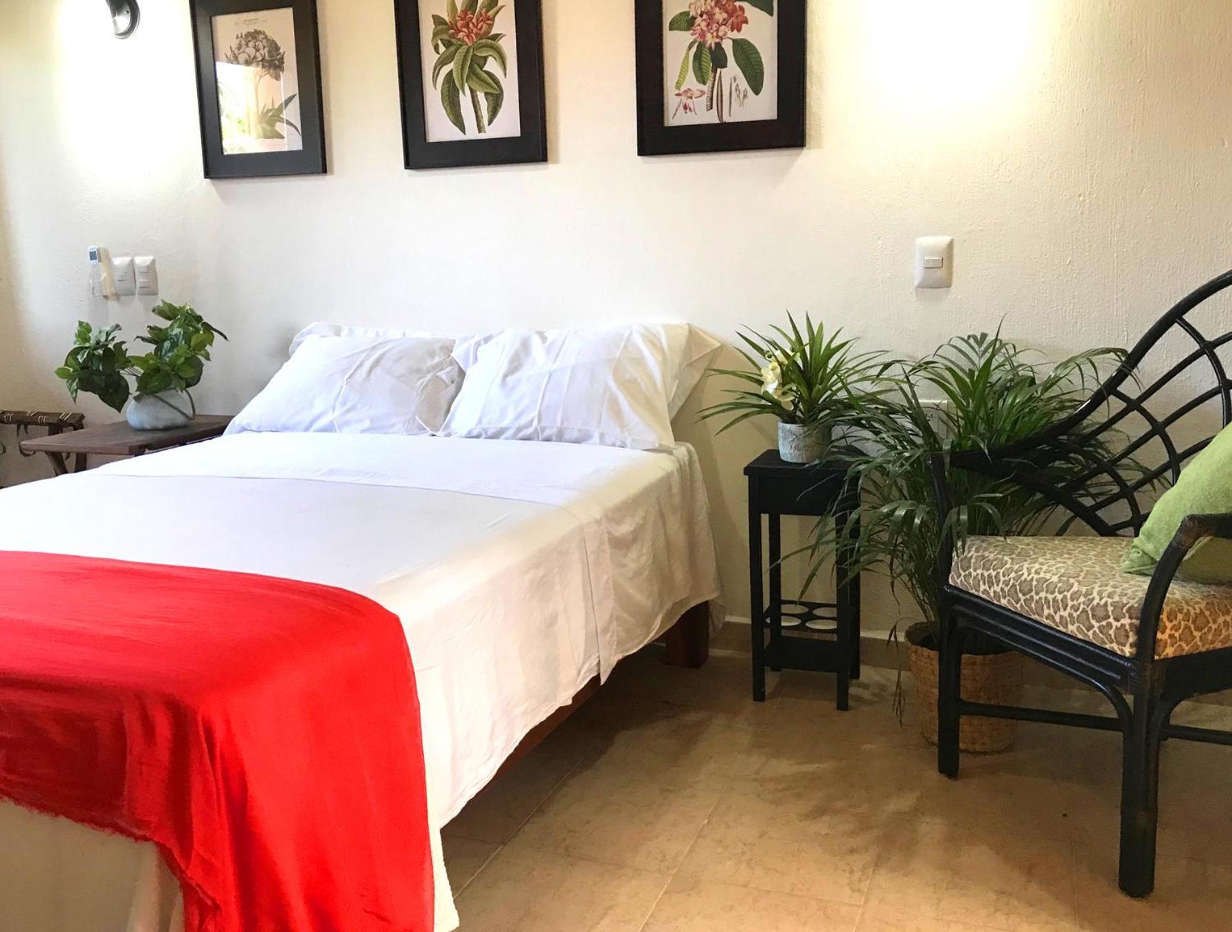 Casa Botanica 호텔 로 데 마르코스 외부 사진