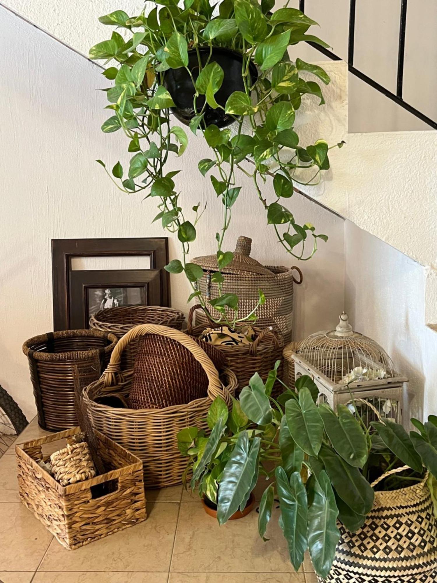 Casa Botanica 호텔 로 데 마르코스 외부 사진