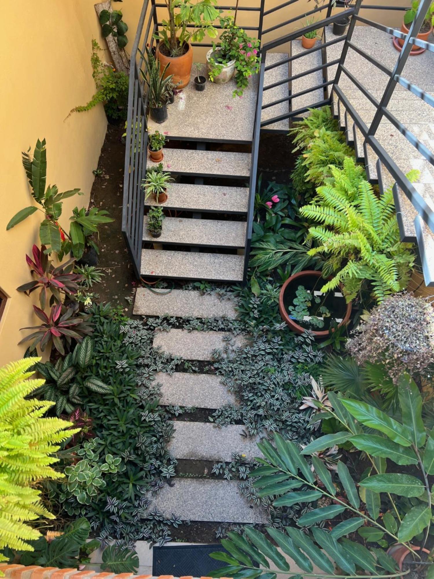 Casa Botanica 호텔 로 데 마르코스 외부 사진
