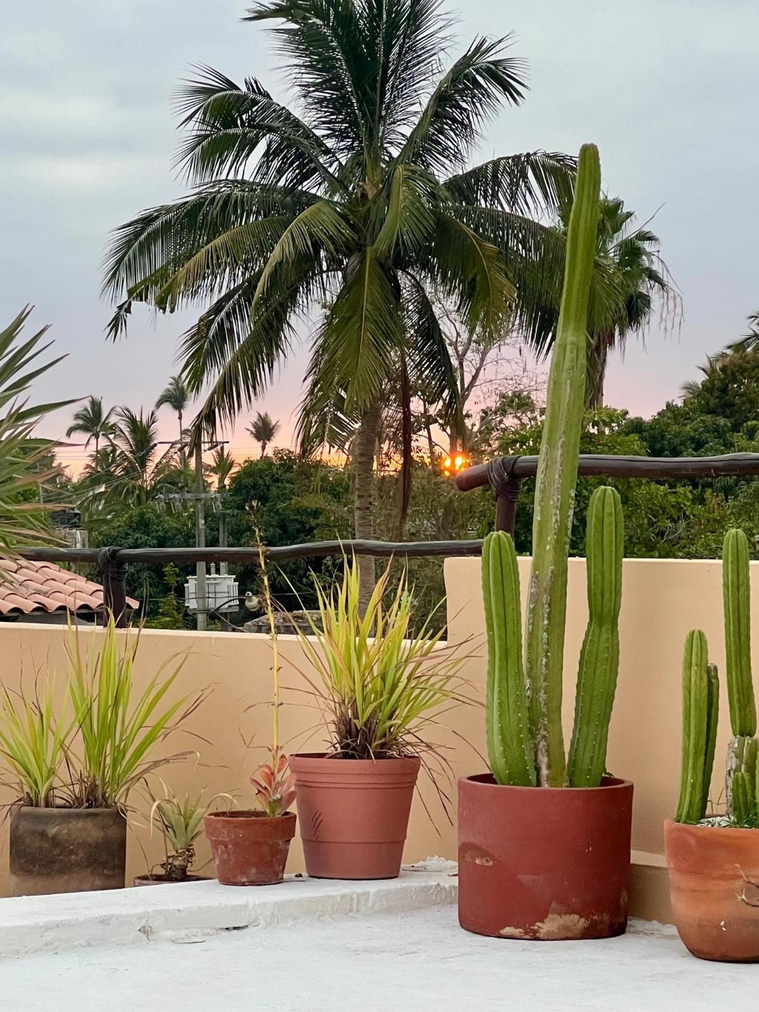 Casa Botanica 호텔 로 데 마르코스 외부 사진