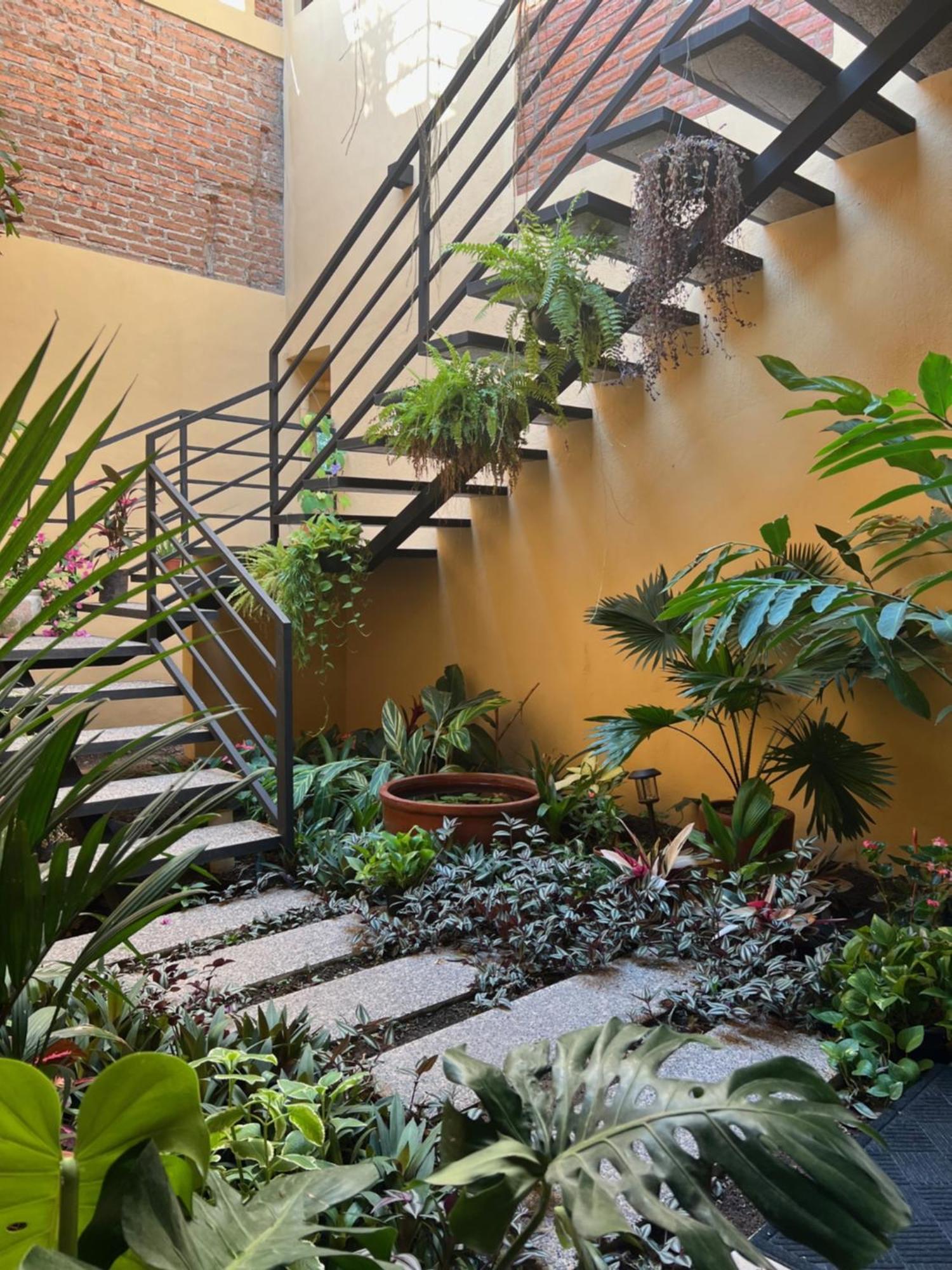 Casa Botanica 호텔 로 데 마르코스 외부 사진