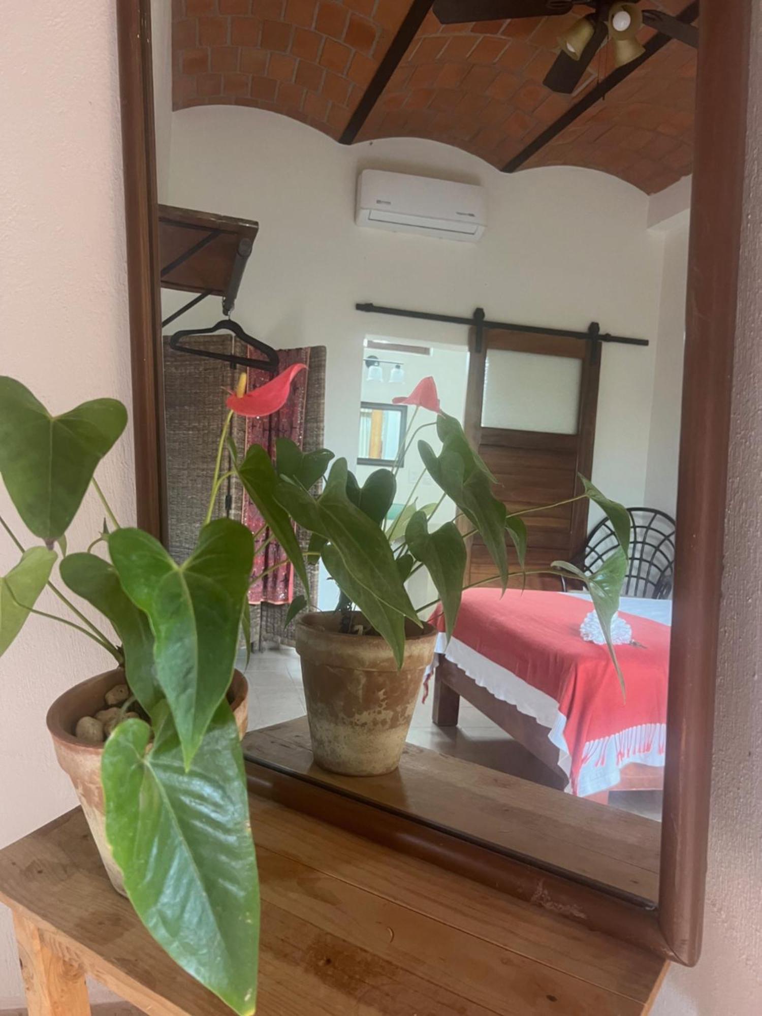 Casa Botanica 호텔 로 데 마르코스 외부 사진