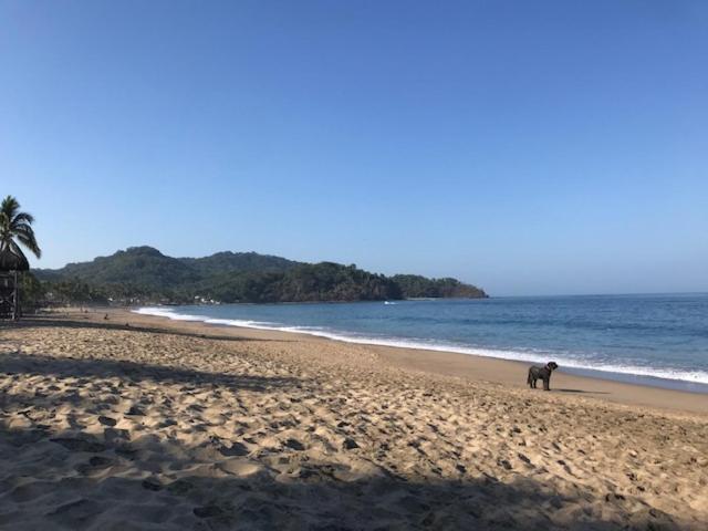 Casa Botanica 호텔 로 데 마르코스 외부 사진