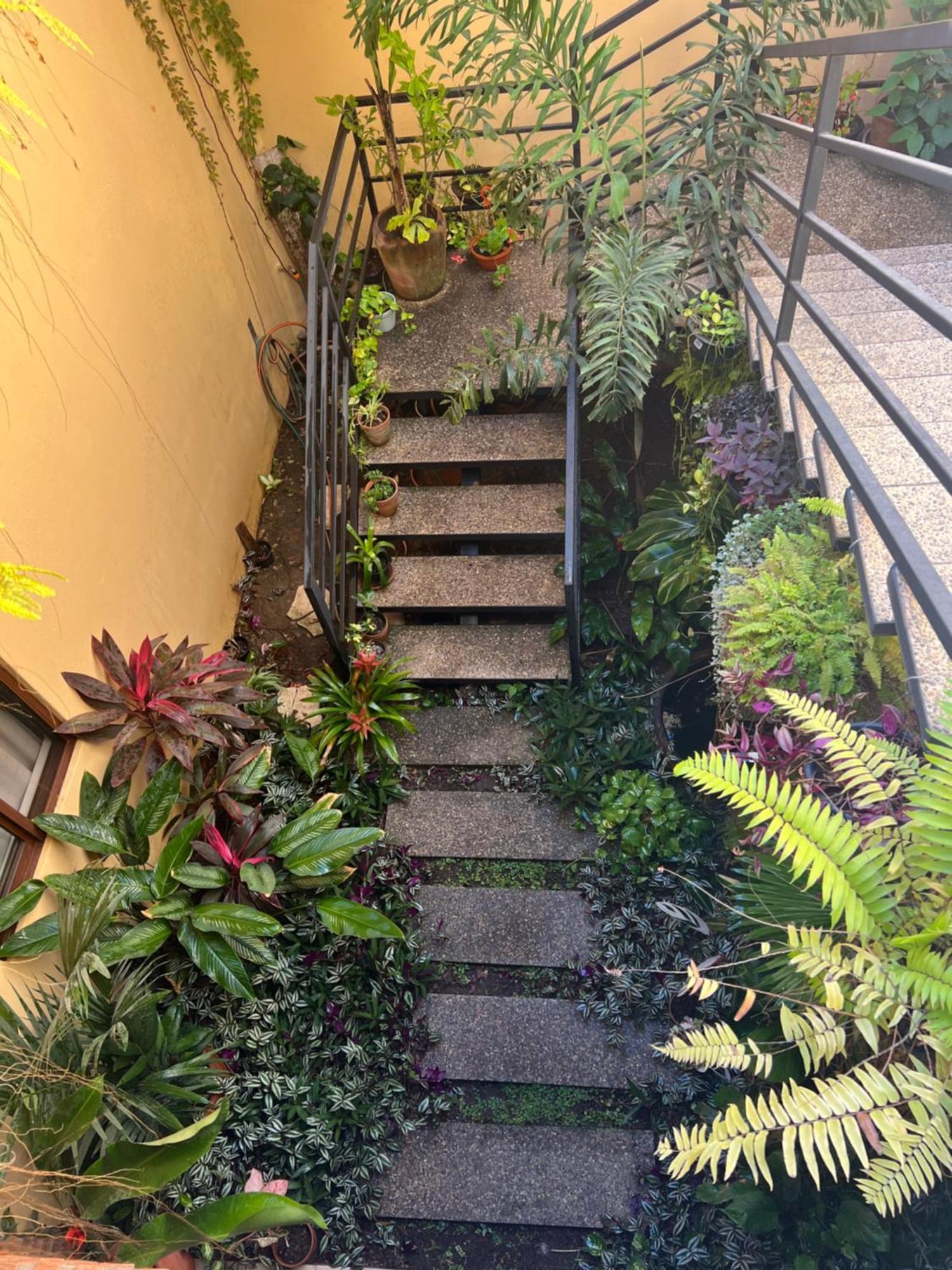 Casa Botanica 호텔 로 데 마르코스 외부 사진