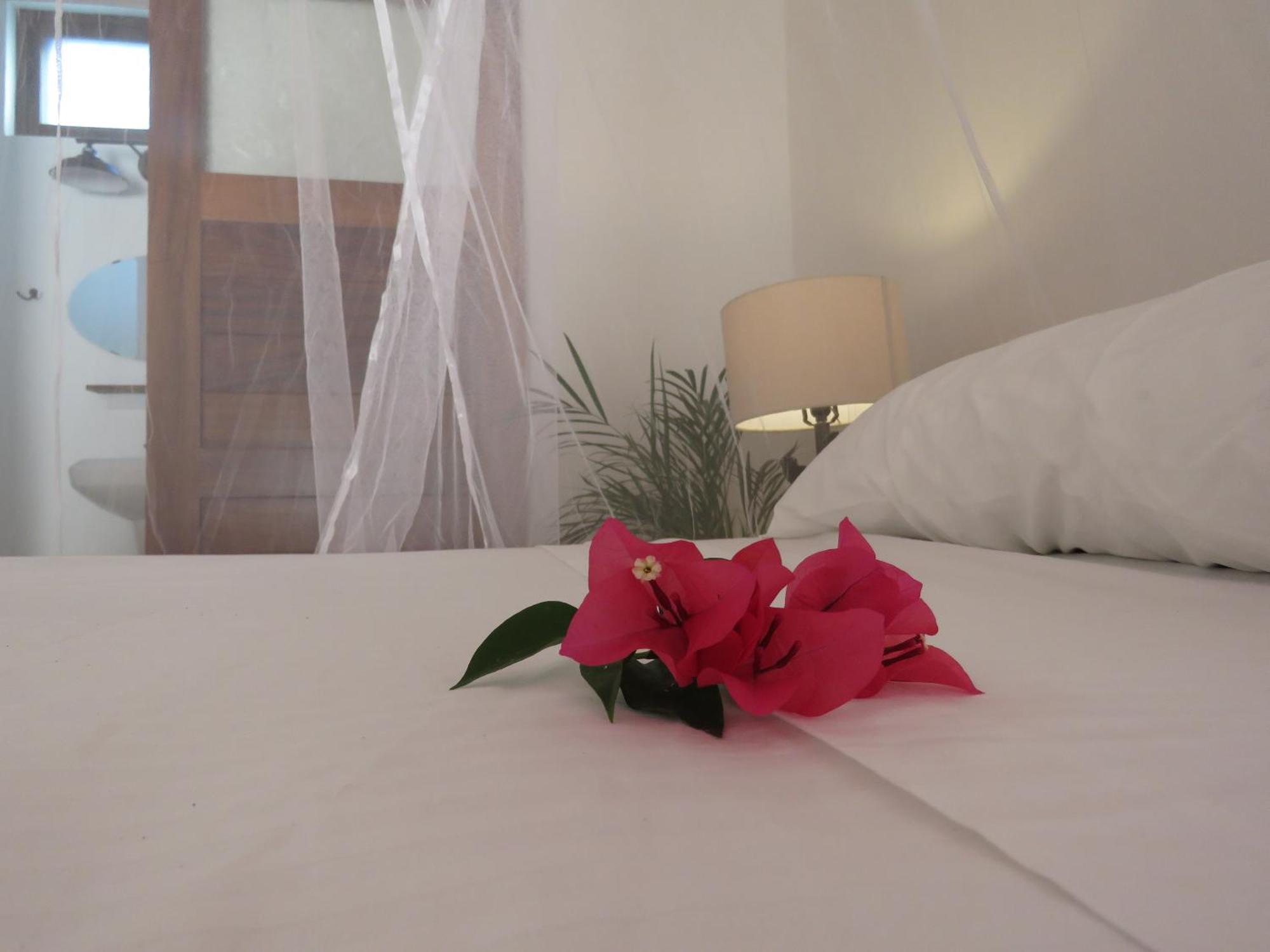 Casa Botanica 호텔 로 데 마르코스 외부 사진