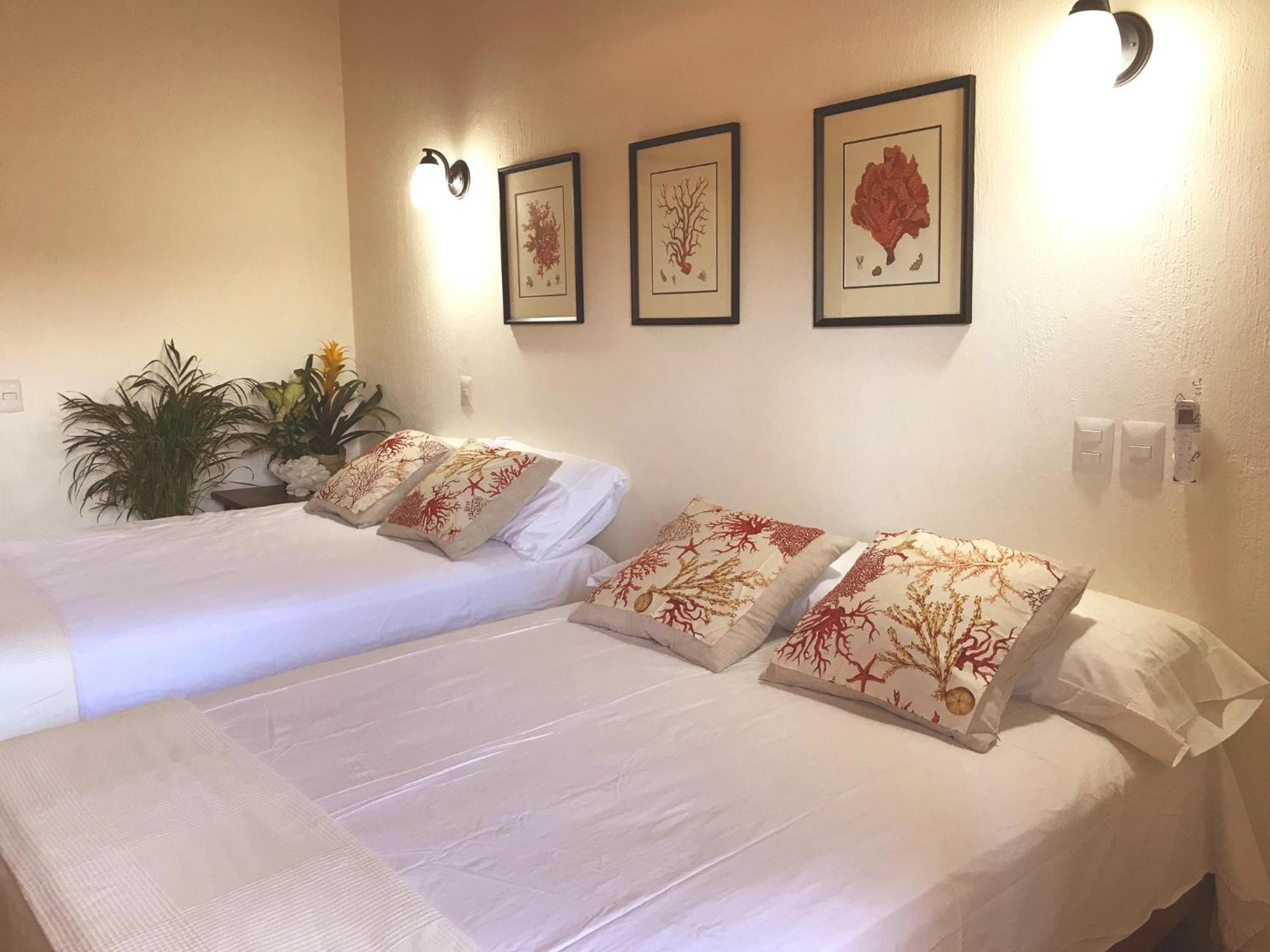 Casa Botanica 호텔 로 데 마르코스 외부 사진